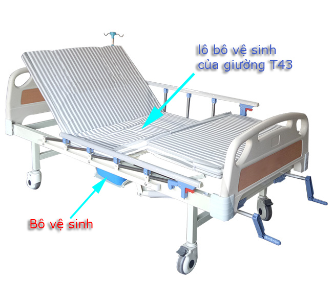 Giường nikita DCN03